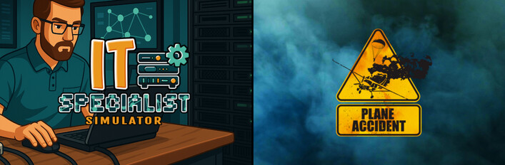 IT Specialist and Plane Accident