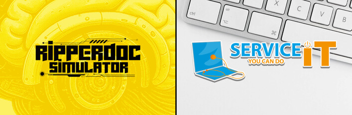 Ripperdoc Simulator and ServiceIT