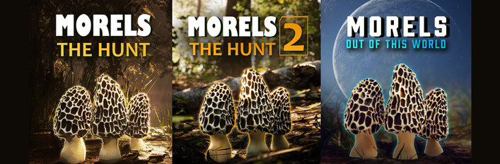 Morels: Bundle