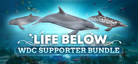 Life Below - WDC Supporter