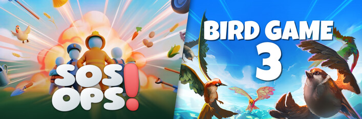 SOS OPS! x Bird Game 3