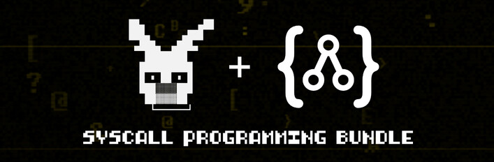 SYSCALL Programming