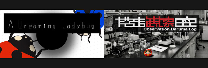 Curious Observation Bundle