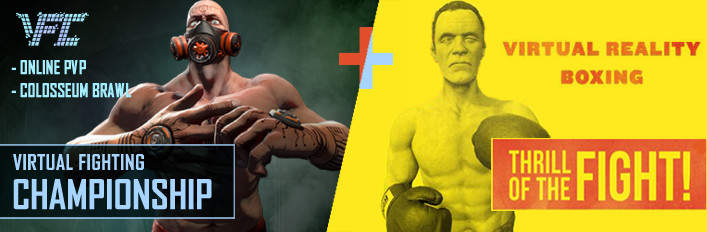 VR Boxing & Brawling