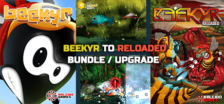 Beekyr to Reloaded Upgrade banner image